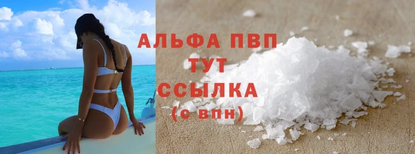 шишки Аркадак