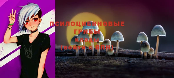 apvp Арсеньев