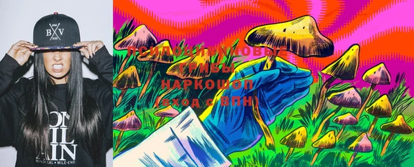 шишки Аркадак
