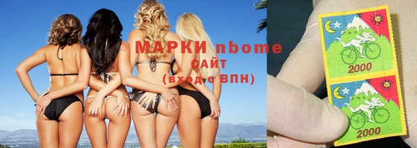 шишки Аркадак